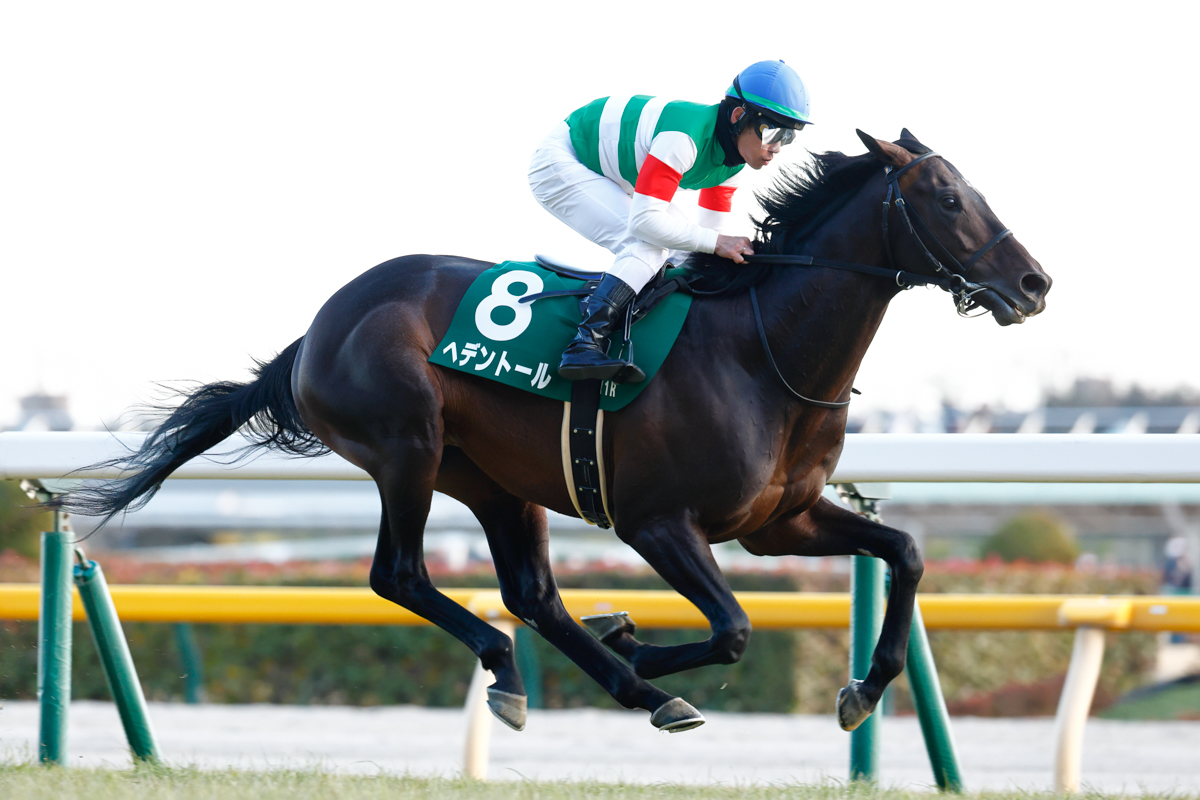 2周目4コーナーで先頭に立ち、後続を4馬身突き放したヘデントール。単勝1.9倍の1番人気に応えた