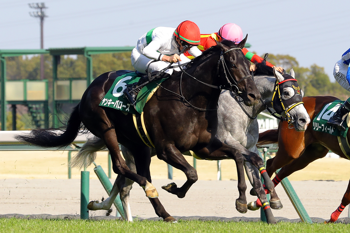 母はファンタジーS勝ち馬キャンディバローズ。3回目の挑戦で母仔重賞制覇を成し遂げた
