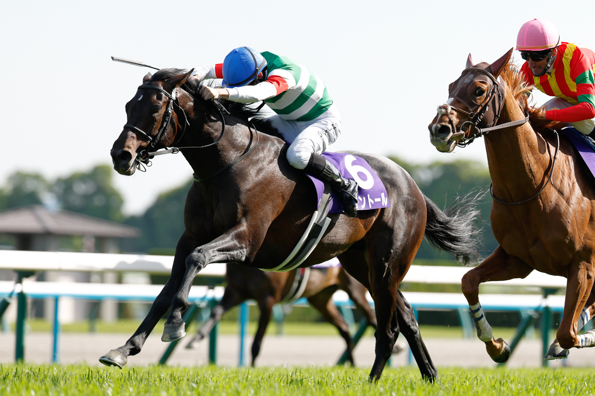 菊花賞2着馬ヘデントールがビザンチンドリームの猛追をアタマ差退けた