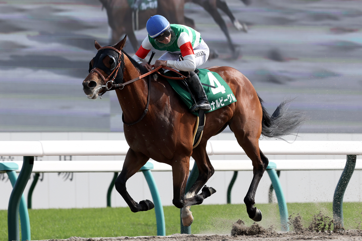 父はフォーエバーヤングと同じリアルスティール、母はアルゼンチンG1・2勝馬。GⅠレースでの活躍が楽しみだ