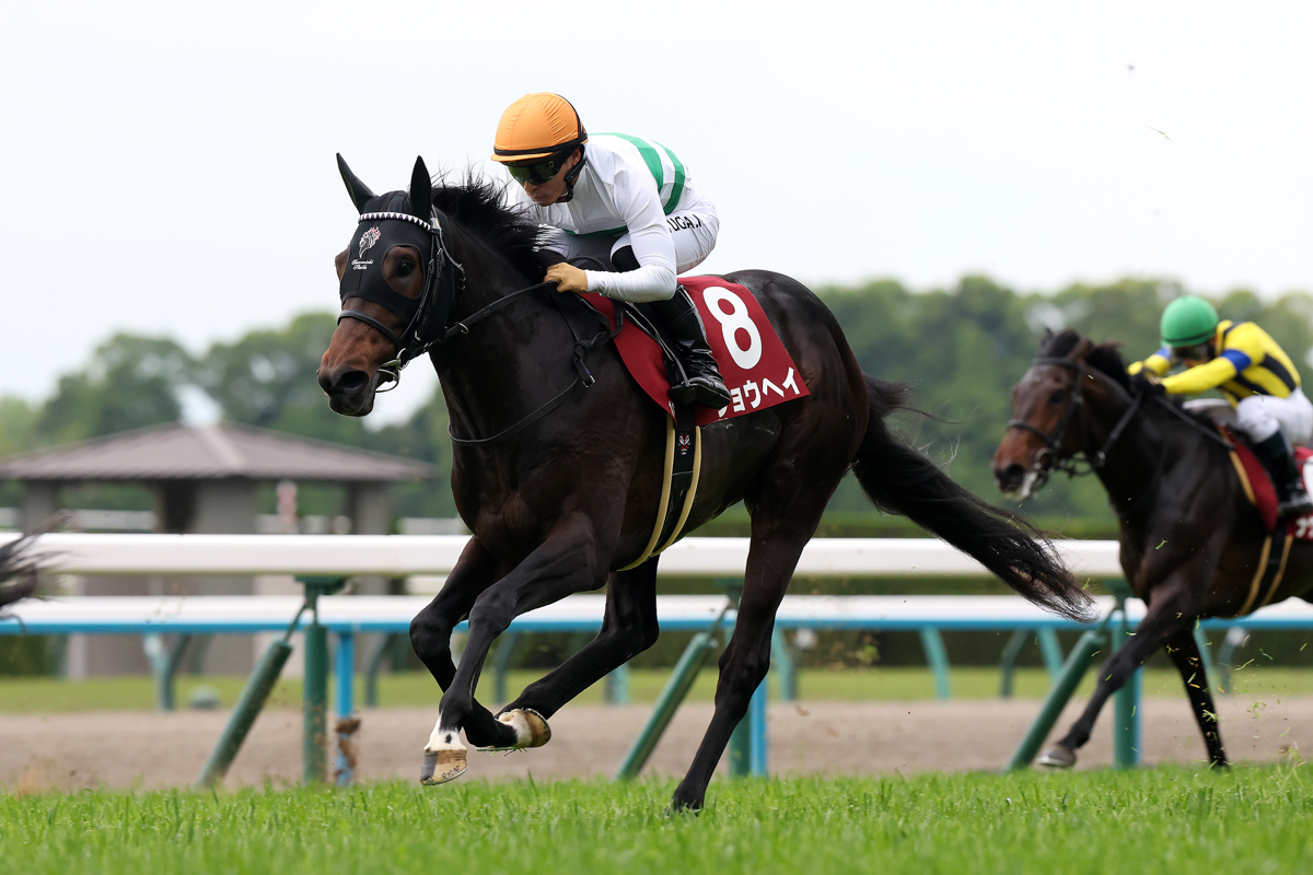 母の姉はミッキークイーン(オークス)、いとこはブレイディヴェーグ(エリザベス女王杯)。良血馬に注目が集まる