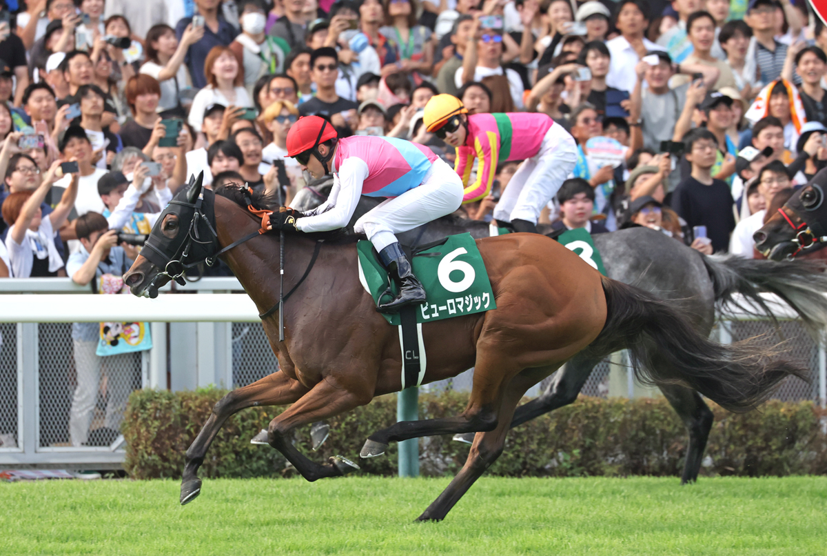 上り3ハロン31秒3の末脚で、11番手からテイエムスパーダをクビ差とらえた