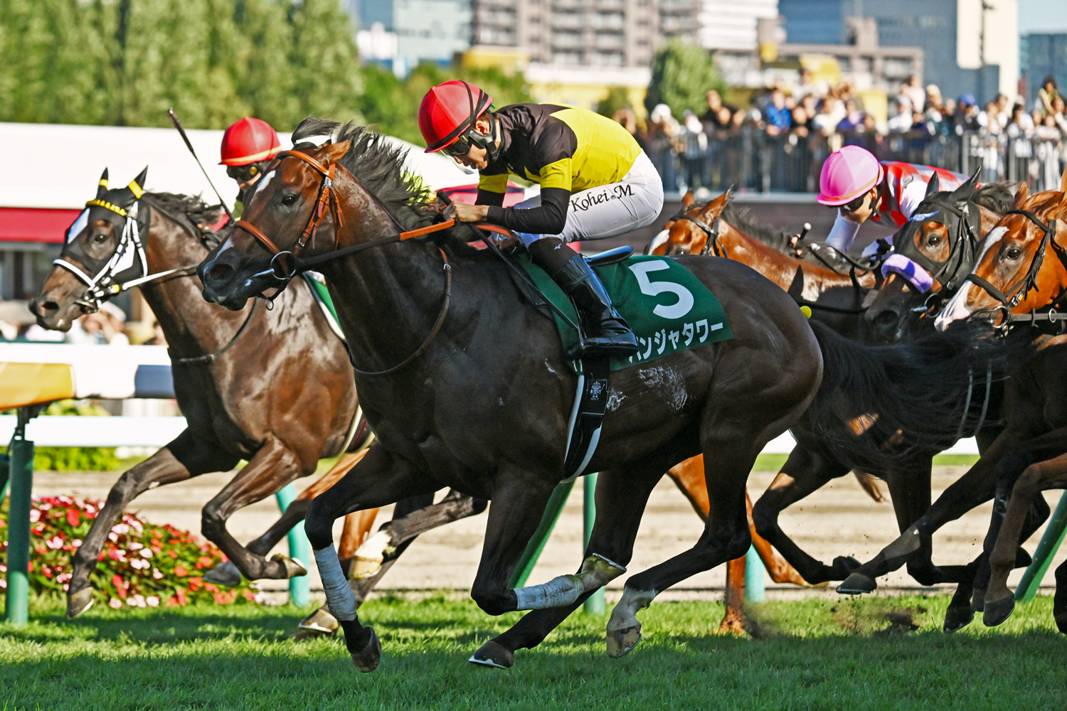 早くに外めの進路を確保したパンジャタワーが鋭い末脚で先行馬を鮮やかに差し切った