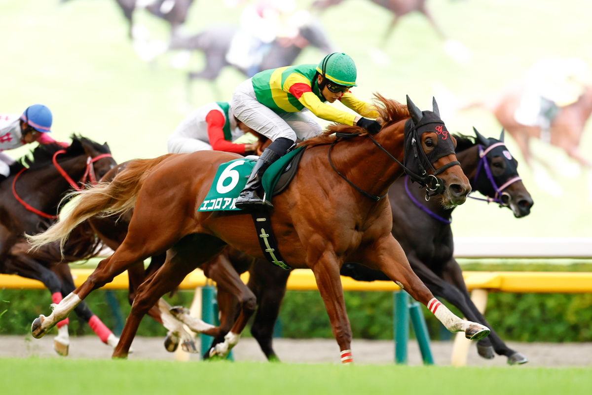 上り3ハロン33秒2の末脚で大外から鮮やかに差し切り、2着ガリレアに1馬身半差をつけた