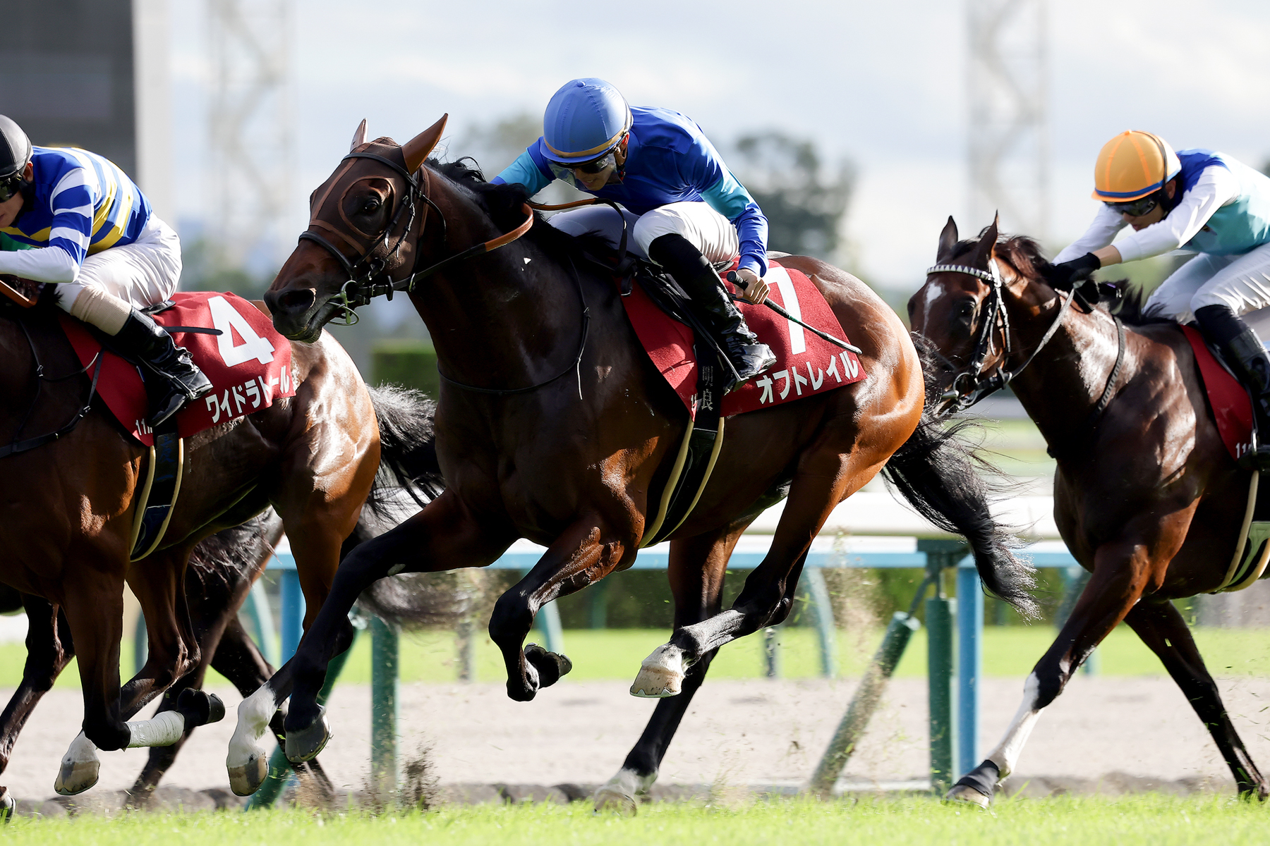 馬群中央を割って、鮮やかに抜け出したオフトレイル。ワイドラトゥールにクビ差競り勝った