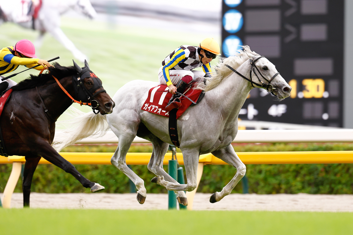 前走の安田記念で敗れたジャンタルマンタルに競り勝ち、久々の勝利を手にしたガイアフォース