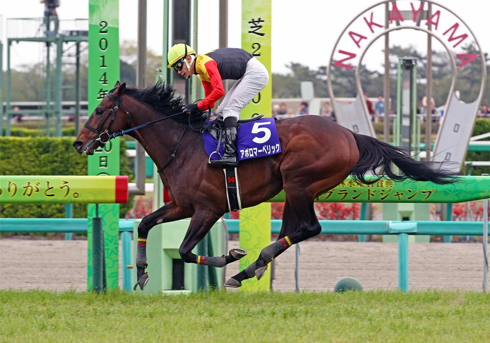 アポロマーベリック号