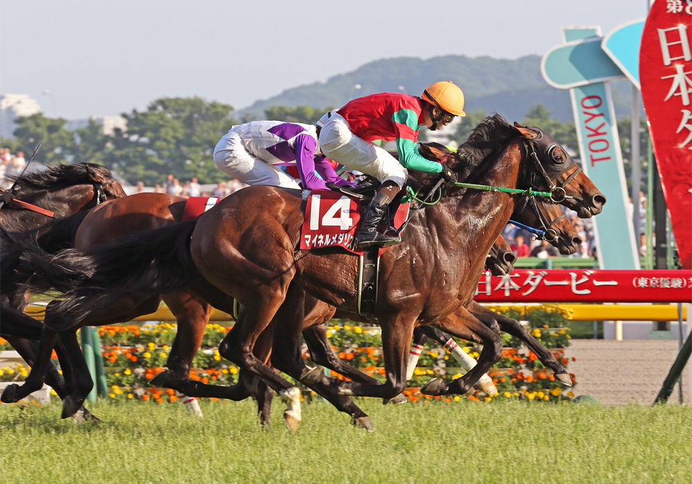 マイネルメダリスト号