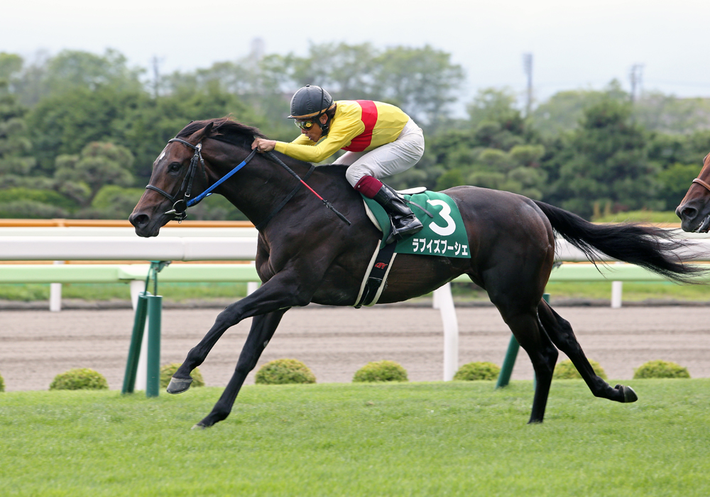 函館2歳Ｓ＆函館記念、当協会会員所有馬が土日重賞Ｖ