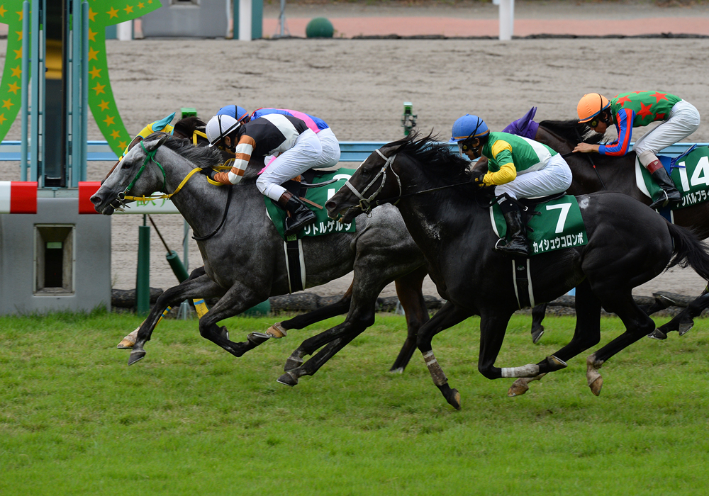 ゴール前の激しい叩き合いを制したリトルゲルダ号が北九州記念優勝