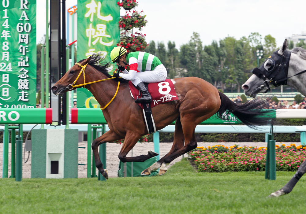 直線、先頭に立ったハープスター号が優勝、凱旋門賞へ弾みをつけた