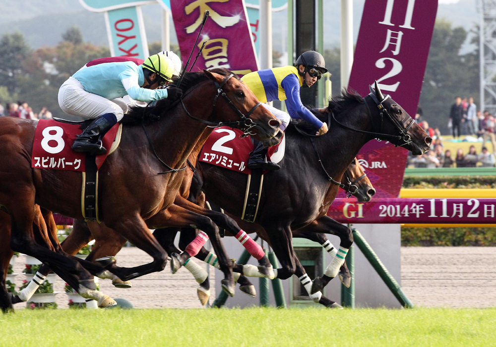 久々の武豊騎手とのコンビで毎日王冠を制したエアソミュール号