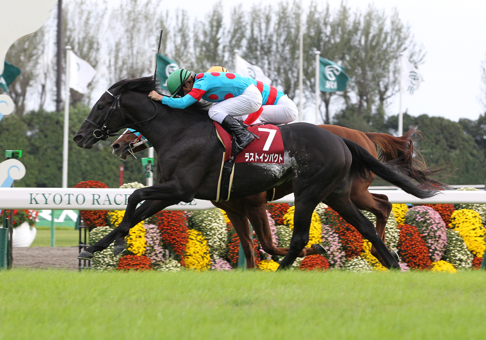 ラストインパクト号は京都大賞典で重賞2勝目を決めた