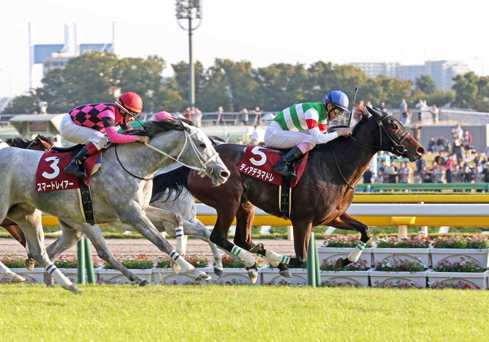 ディアデラマドレ号が直線、一気の末脚で府中牝馬S制覇