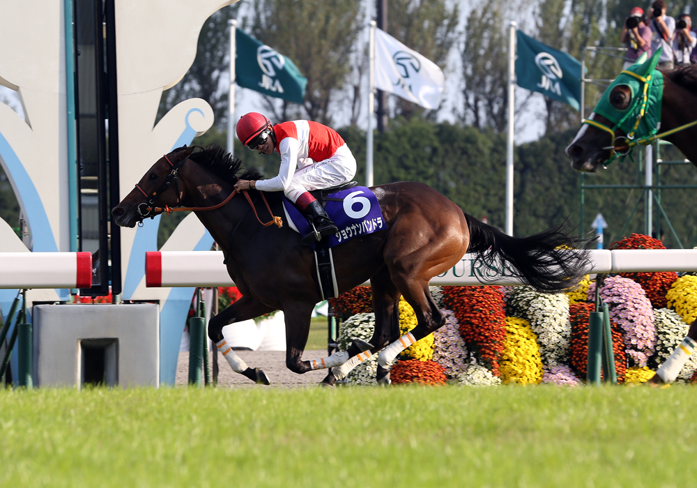 直線、最内から鋭く伸びたショウナンパンドラが秋華賞優勝