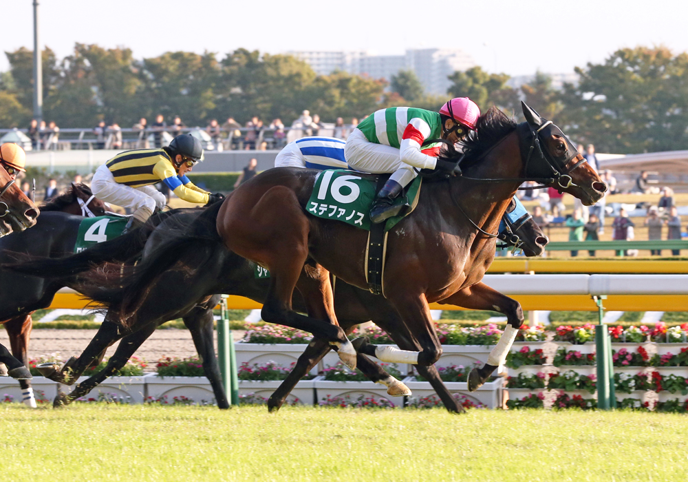 鋭い末脚でゴール前の大接戦を制したステファノス号