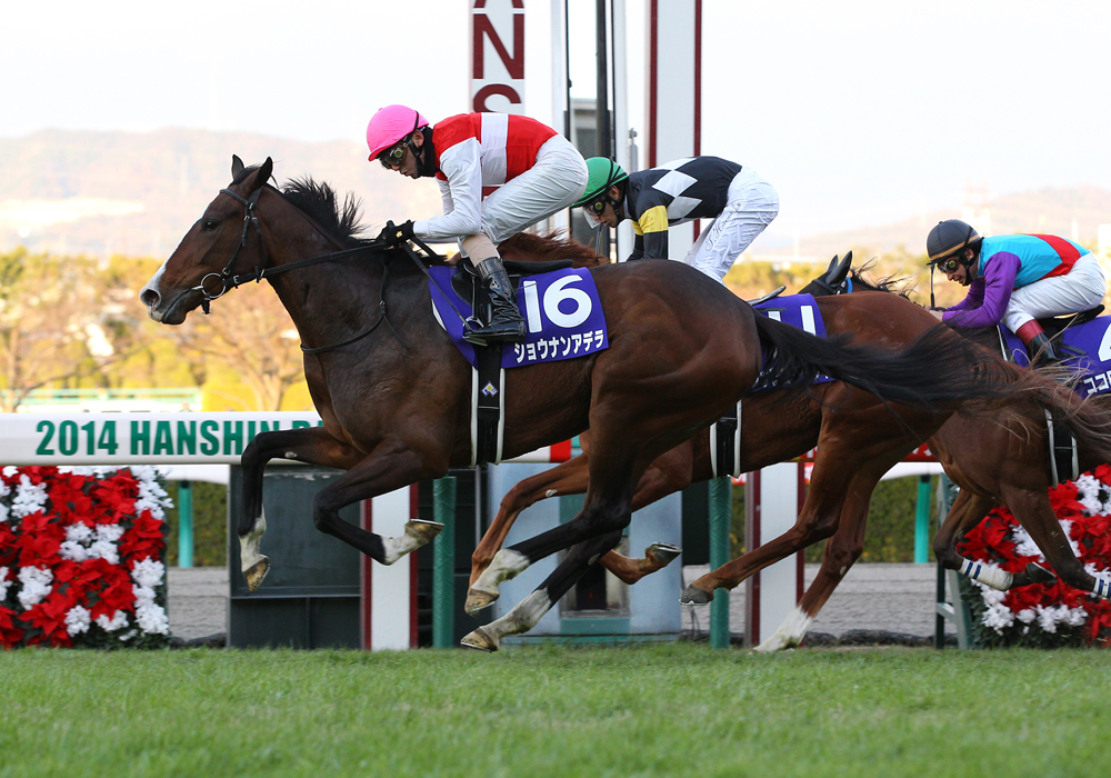 直線、外から鋭く伸び阪神ＪＦ優勝のショウナンアデラ号