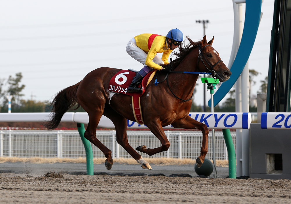 武豊騎手と初コンビを組んだコパノリッキー号が東海S圧勝