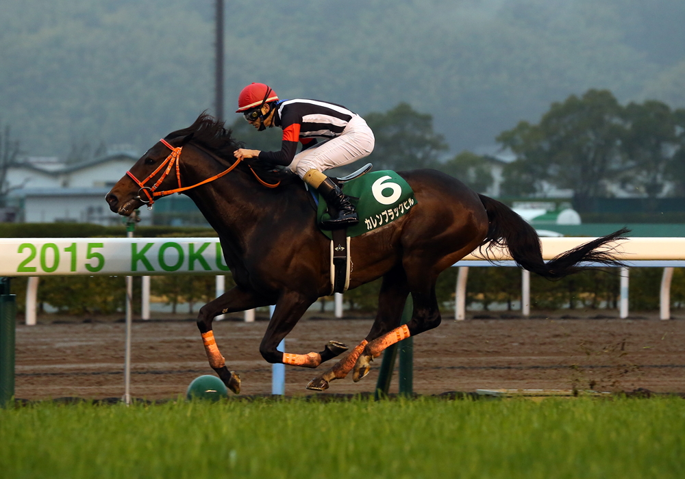 ＧＩ馬の貫録を見せつけ小倉大賞典を押し切ったカレンブラックヒル号