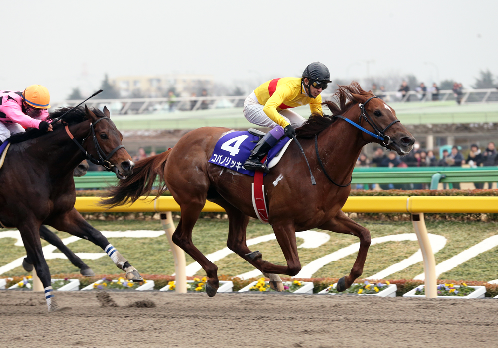 今年最初のＧＩフェブラリーＳを連覇で飾ったコパノリッキー号