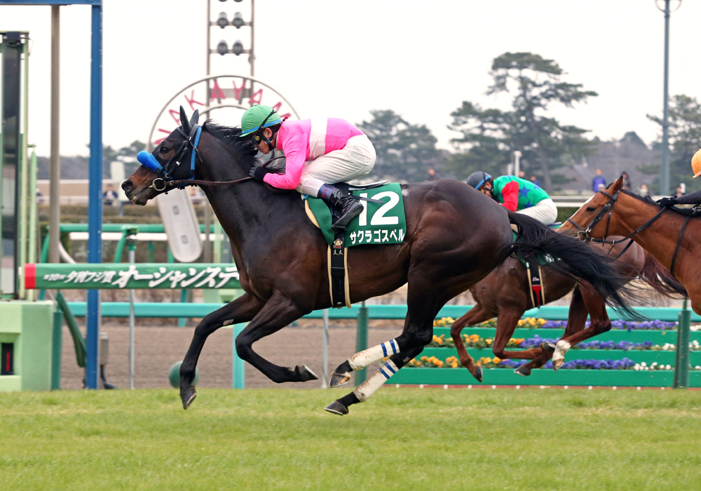 直線、外へ持ち出すと切れ味鋭い末脚で一気の差し切り勝ちを決めたサクラゴスペル号