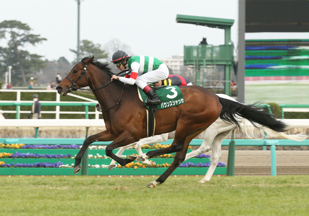 外から豪快に脚を伸ばし、中山牝馬Ｓを制したバウンスシャッセ号