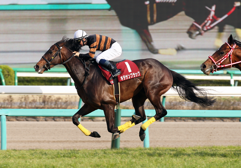 演歌の大御所・北島三郎さんのキタサンブラック号がデビューから３連勝でスプリングＳ優勝