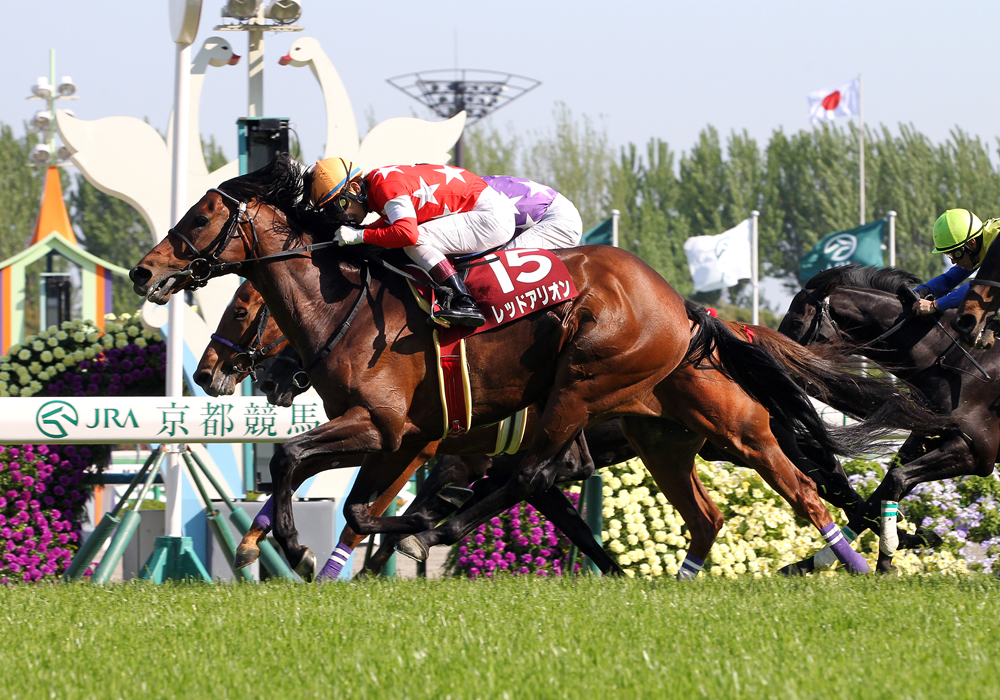 ゴール前の激しい競り合いを制して優勝したレッドアリオン号