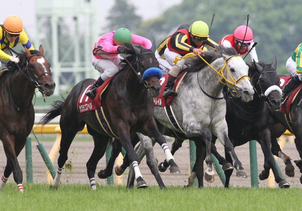 ゴール前の激戦を制して重賞3勝目を飾ったサクラゴスペル号