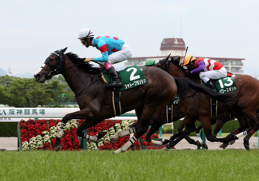 直線、豪快な末脚を繰り出し重賞初勝利を飾ったシャトーブランシュ号