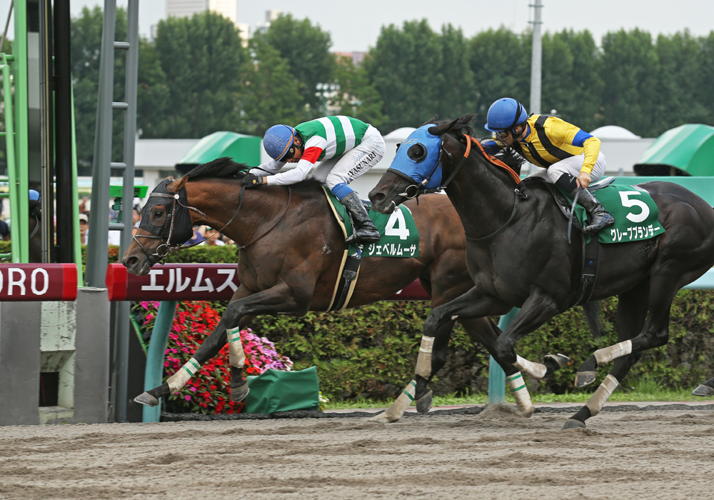 レッドアリオン号 関屋記念 ジェベルムーサ号 エルムｓ 当協会会員所有馬が東西で重賞制覇 一般社団法人 東京馬主協会