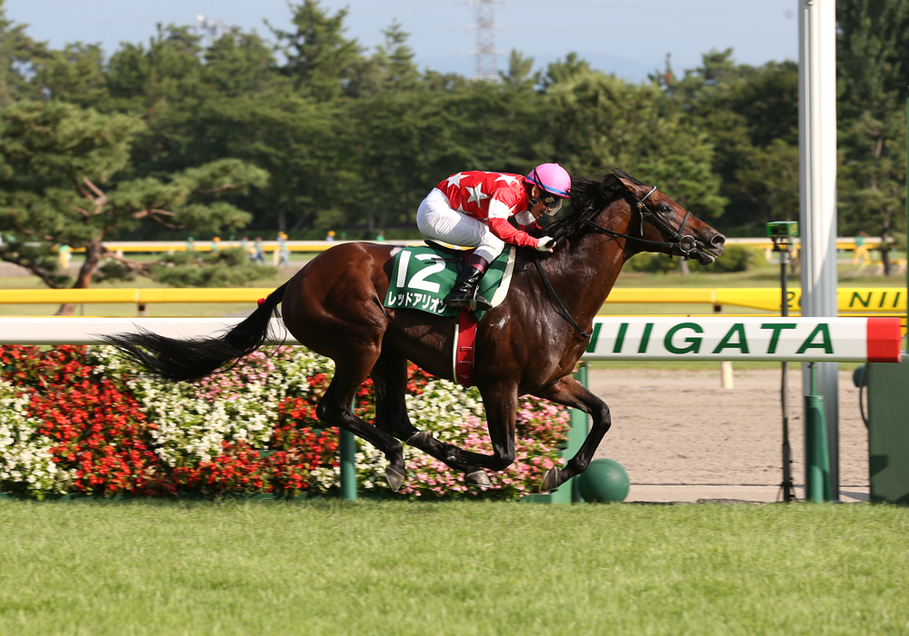 レッドアリオン号 関屋記念 ジェベルムーサ号 エルムｓ 当協会会員所有馬が東西で重賞制覇 一般社団法人 東京馬主協会