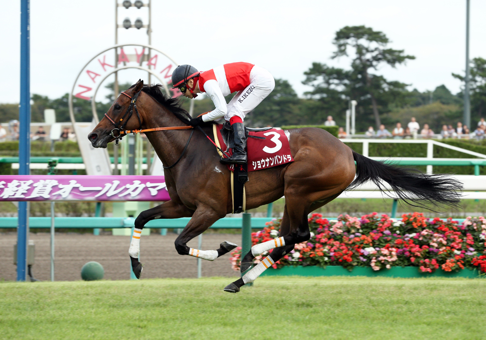 ショウナンパンドラ JC 馬券 ショウナンパンドラ｜名馬メモリアル
