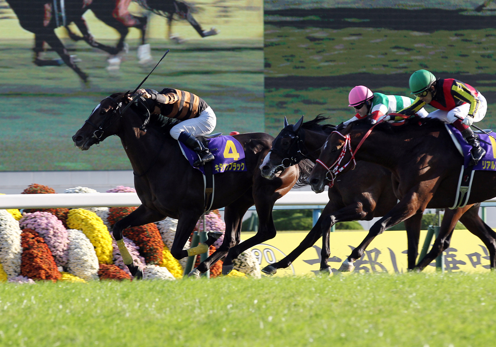 サブちゃんこと北島三郎さんのキタサンブラック号が見事な菊花賞制覇を決めた