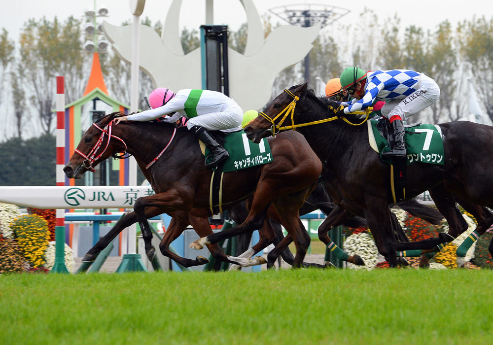 直線、横一線の叩き合いを制したキャンディバローズがファンタジーS優勝
