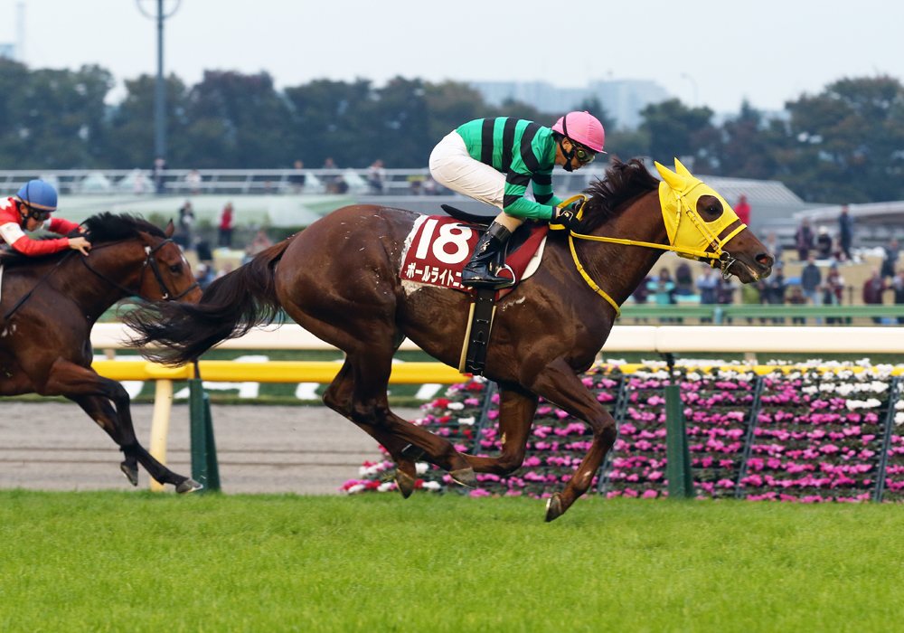 京王杯2歳Sを快勝したボールライトニング号、これで2戦2勝だ