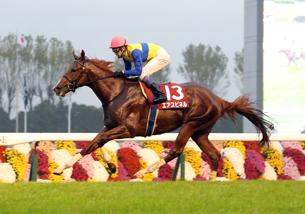 デイリー杯2歳Sを制したエアスピネル号、2戦2勝で来春のクラシックへ期待が膨らむ