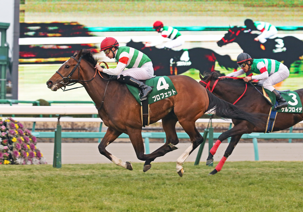 直線の激しい競り合いからプロフェット号が抜け出し京成杯制覇