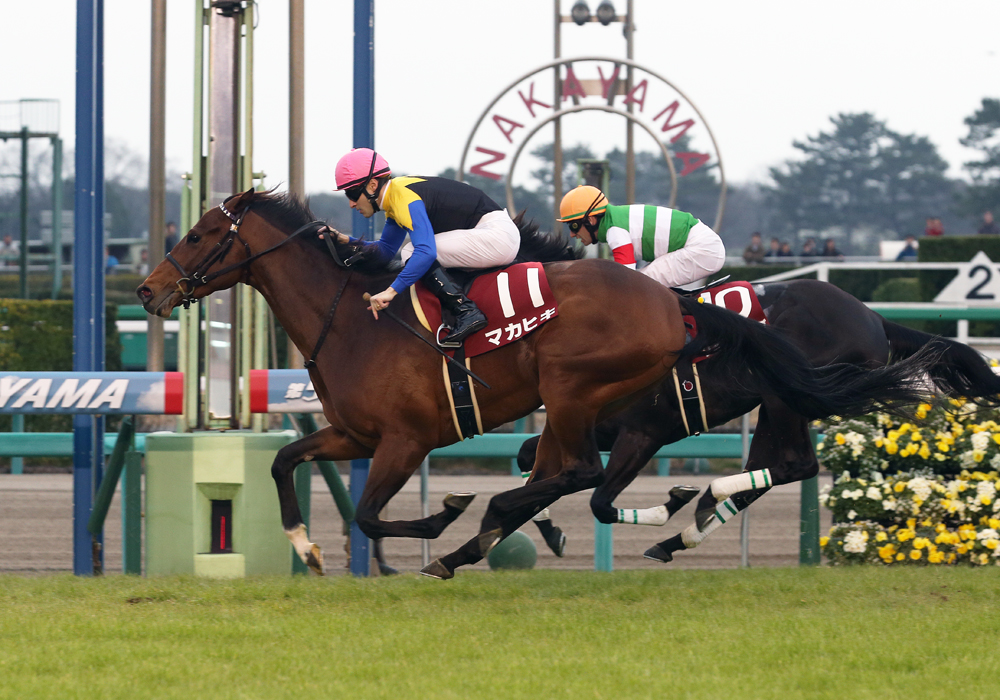 直線、2歳王者との競り合いを制して弥生賞優勝、クラシック第一弾・皐月賞へ王手を懸けたマカヒキ号