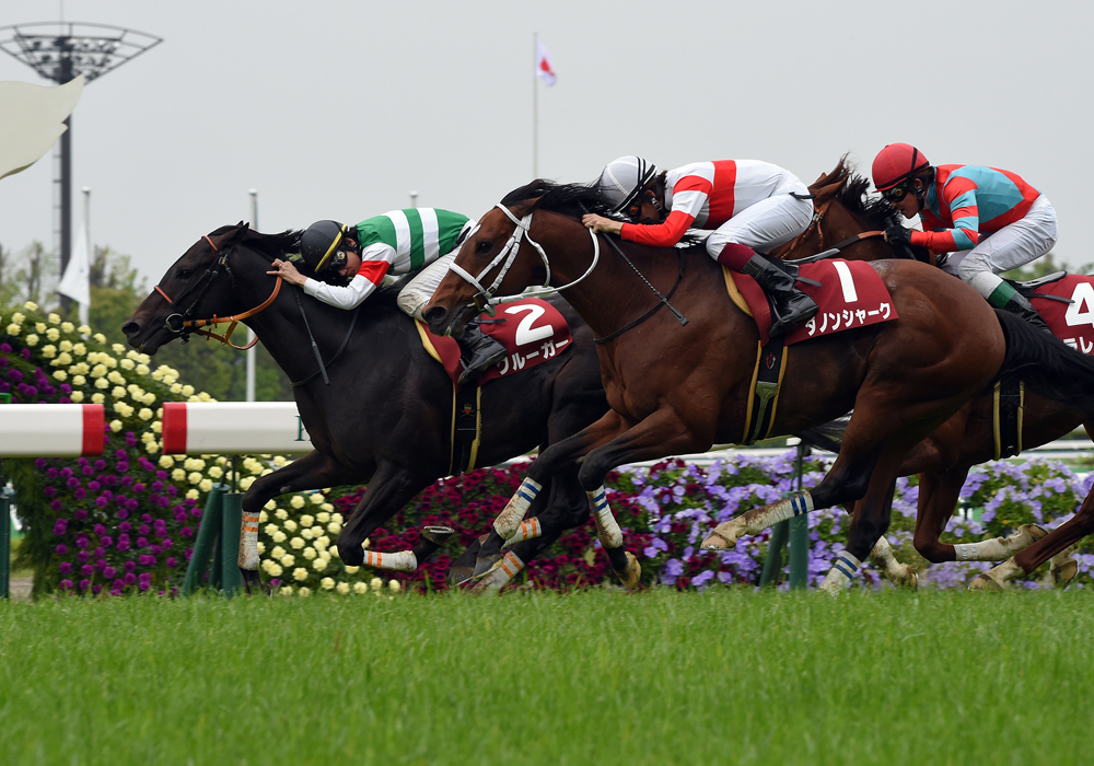 ゴール前の大混戦を内から抜け出したクルーガー号が重賞初制覇