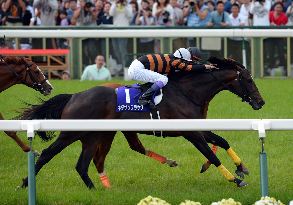 直線のデッドヒートを鼻差しのいだ武豊・キタサンブラック号が盾制覇を決めた