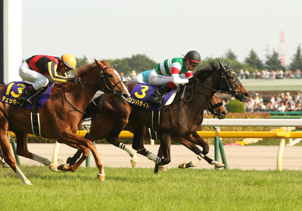 ゴール前、鋭く抜け出して優勝したシンハライト号、桜花賞２着の雪辱を果たした