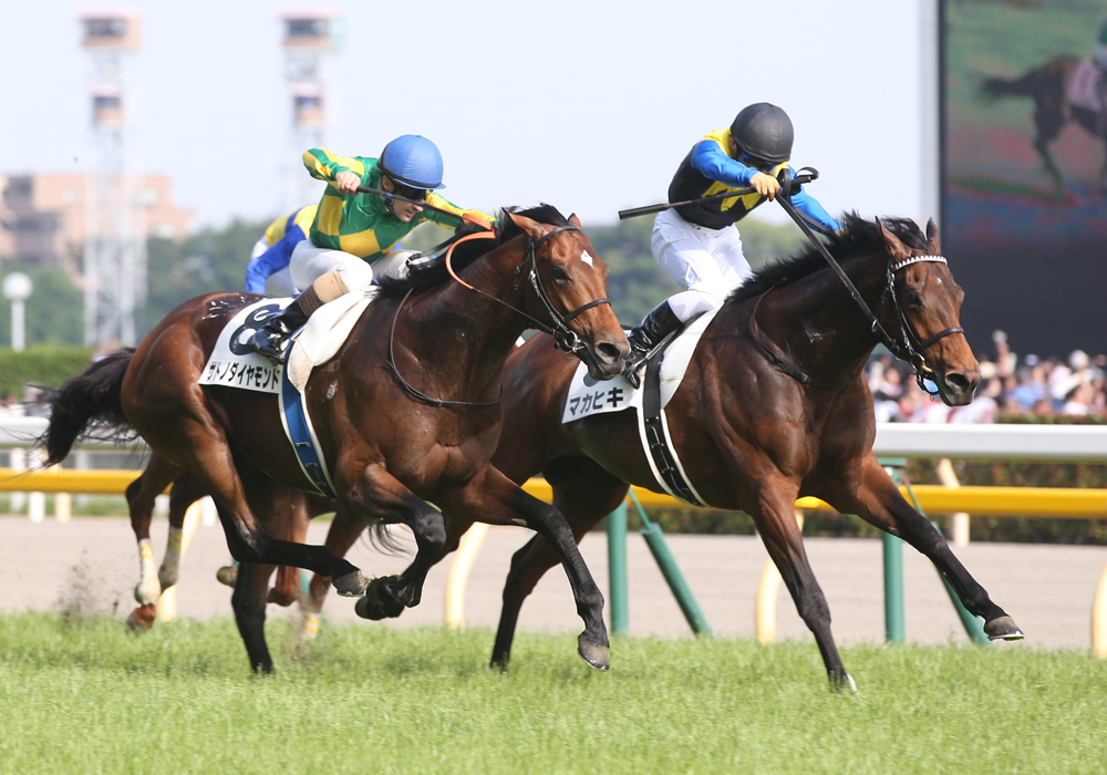 直線の激しい競り合いを鼻差制して第83代ダービー馬に輝いたマカヒキ号