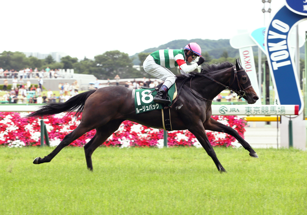 キャロットｆ所属馬が東西重賞制覇 エプソムｃ ルージュバック号 マーメイドｓ リラヴァティ号 一般社団法人 東京馬主協会