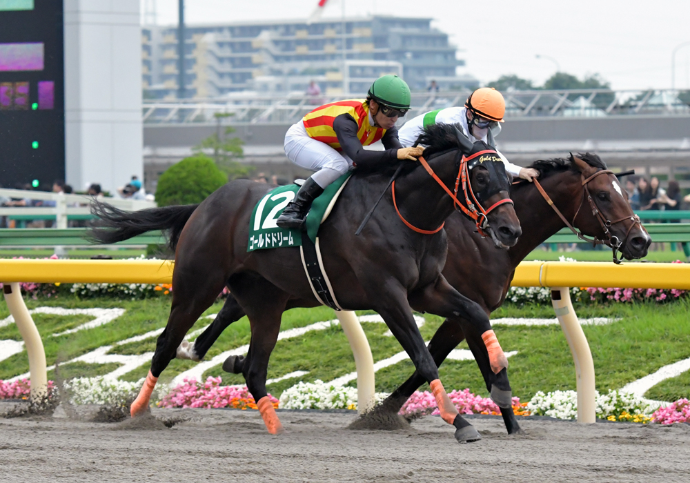 ゴール前の激しい競り合い首差しのいで重賞初制覇を決めたゴールドドリーム号