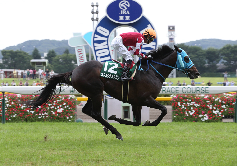 東京ジャンプＳはＧＩ馬オジュウチョウサン号が順当勝ち