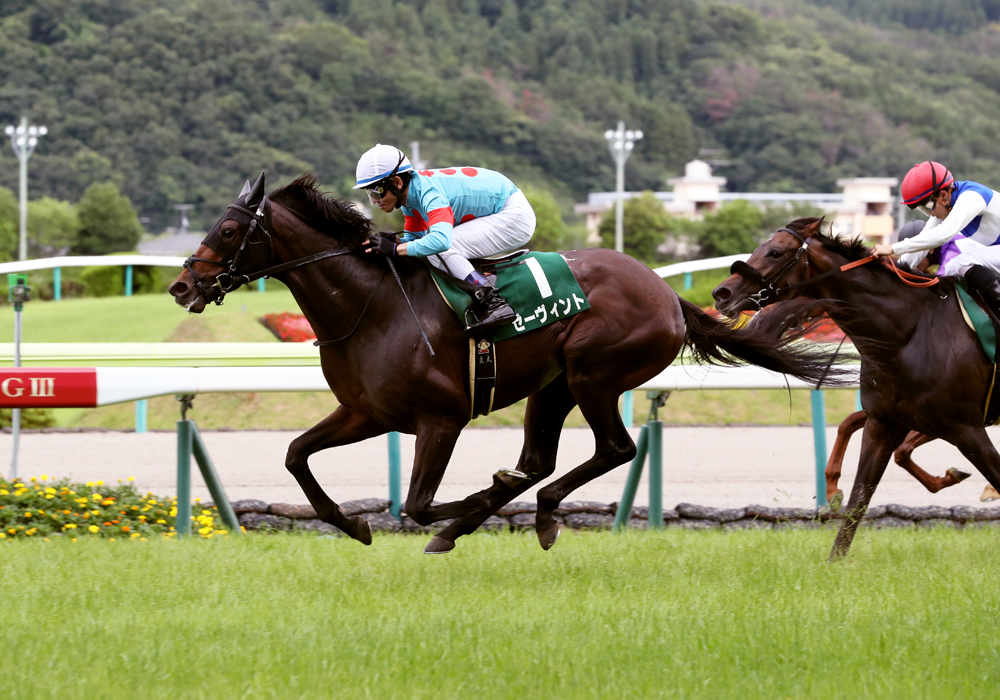 直線、馬群を縫うようにして抜け出したゼーヴィント号が見事な重賞初制覇