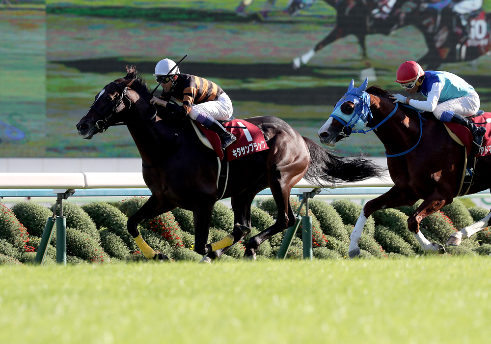 ２番手追走から横綱相撲で京都大賞典を制したキタサンブラック号