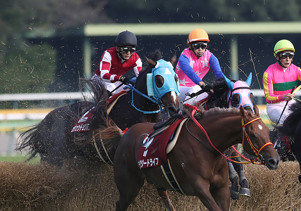 終始、空馬に絡まれる厳しい展開もＧＩ馬の貫録で差し切り勝ちを決めたオジュウチョウサン号