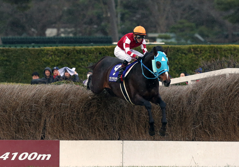 まさに王者の貫録で中山大障害を圧勝したオジュウチョウサン号